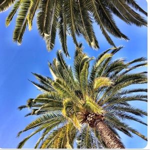 Meet your Posher, Tiffani